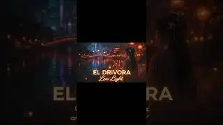 House Music | Chill Chinese Electro House | Low Light &ndash; EL DRIVORA #housemusic #electrohouse