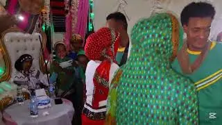 Walloo oromia Bate 