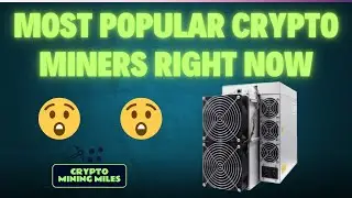 MOST Popular Crypto miners right now | S19 , S21 , L7 & more 🔥 Crypto Mining India #bitcoinmining