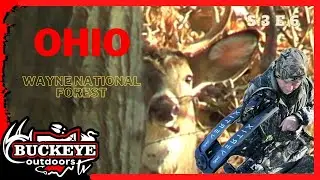 PUBLIC LAND HUNTING | Wayne National Forest | Ohio hunting | Ohio public land | Bowhunting