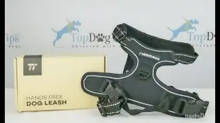 Hands Free Dog Walking System Giveaway