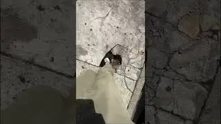 FUNNY HOLE TRANSITION #hilarious #fun #funny #meme #transition #fypage #fyp #subscribe #lmao #viral