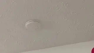 testing a first alert smoke detector.