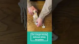 Do czego służą żelowe kliny na haluksy? #haluksy #stopa