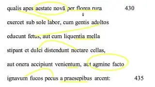 Aeneid 1.430-435 translation