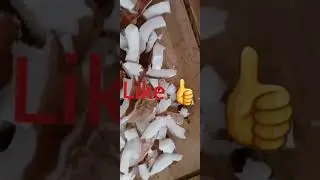 useful tip for all #coconut #deepfridge  #niceidea #viralvideo