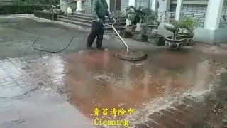 P.A.S.T 1503 Home Garden Red Brick Floor Moss Cleaning Project