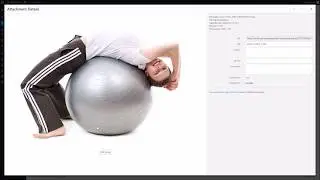 Crop / resize Images in WordPress