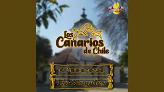 Cueca en Nogales