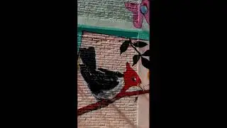 Palermo Viejo. Casas Murales Adoquines. Pintura  Murales, Maravilloso 🇦🇷🇦🇷🇦🇷