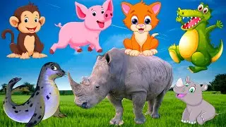 Learn to love animals, learn animal sounds dog, cat, horse, elephant, cow, monkey, pig...