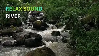 Natural Water Sounds 🌊 Without Music | Sleep Better, Focus Deeper, Meditate Calmly