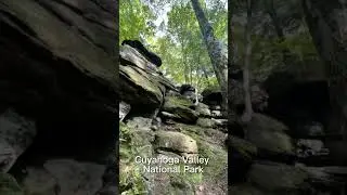 Top 5 places in Ohio to visit during Fall 🗺 #fall #autumn #parks #travel #outdoors #nature #shorts