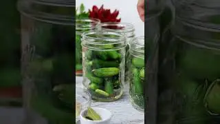 Homemade Fermented Dill Keto Pickles