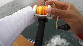 The Liberty Sportfishing