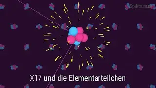 X17 und die Elementarteilchen