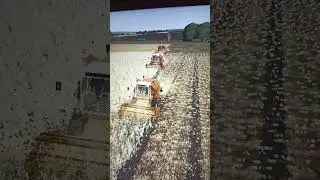 żniwa na 3 bizony fs19 #farming #rolnictwowięcejniżpasja #fs19 #farmingsimulator #farmingsimulator19