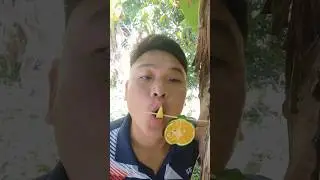 This fruit combo has no chill 😂🍇🍎🍊 #fruitlover #funnyfood #snacktime #comedyshorts #trendalert
