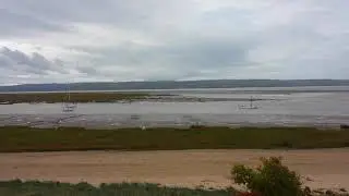 Foraging on Dee Estuary