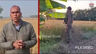 Security forces launch Search Operation along IB in Samba