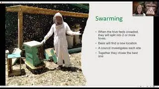 Virtual Webinar: Beekeeping 101 for Chimps