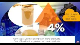 Firm's Decision - Microeconomics: Corn Production