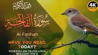 Most Powerful Surah Al-Fatiha Recitation | Heart-Healing Quran | #mdkaidia