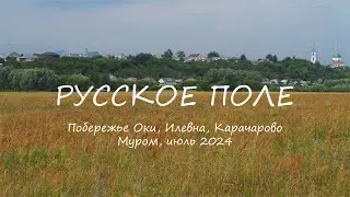 РУССКОЕ ПОЛЕ, Побережье Оки, Илевна, Карачарово, RUSSIAN FIELD, Oka Coast, Ilevna, Karacharovo