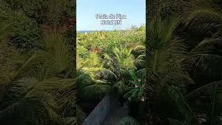 Pousada Praia de Pipa - Natal RN #travel