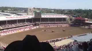 Calgary stampede clown get run over my bull