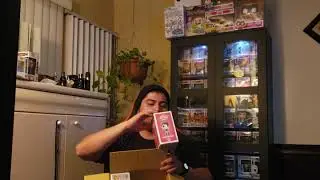 Unboxing chalice collectibles mystery box march 2019