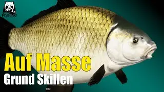 Russian Fishing 4 - Achtuba - Büffelfisch auf Masse