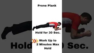Plank Exercise For Disc Bulge Low Back Stability #shorts | Dr Walter Salubro Chiropractor In Vaughan