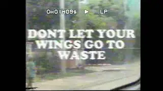 FIND YOUR WINGS - LYRIC VIDEO