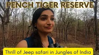 Pench Tiger reserve jeep safari || Places to visit near pench national park