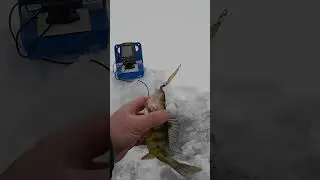 Easily Convert ANY Fish Finder into a DIY ICE Fish Finder! 🖥️ 🎣 🧊 🥶