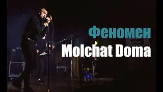 Почему Molchat Doma Так Популярны?