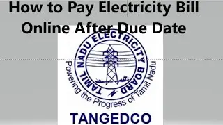 How to Pay Electricity Bill Online After Due Date