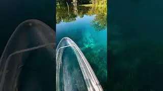 Discovering the magic of Florida springs 🌊✨ #FloridaAdventures #SpringHopping #NatureEscape #Explo