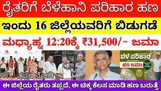 ಬೆಳಹಾನಿ ಪರಿಹಾರ ಹಣ ₹31,500/- ರೈತರಿಗೆ ಇಂದು ಮಧ್ಯಾಹ್ನದಿಂದ ಈ 16 ಜಿಲ್ಲೆಗಳಿಗೆ ಜಮಾ | #beleparihar