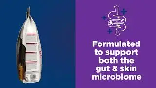 Hill's Science Plan Sensitive Stomach & Skin