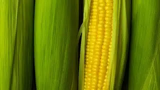 What is the role of community in creating more equitable food systems?
