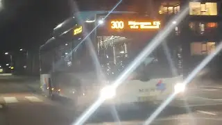 Nächtlicher Busverkehr in den Niederlanden 🧀🇳🇱🌷
