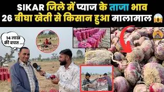 सीकर का किसान 26 बीघा में प्याज की अगेती खेती से हुआ मालामाल, देखें मुनाफा ~