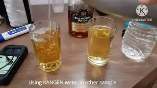 9. Enagic Kangen Water Whiskey Demo