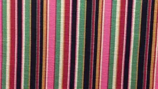 Wild Striped Fabric in Pink Black Green By The yard. 54