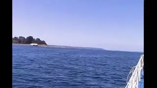 Viaje en lancha de angelmo a isla maillen por el canal de tenglo
