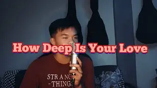 How Deep Is Your Love - Bee Gees ( Francis Ricardel Cover)