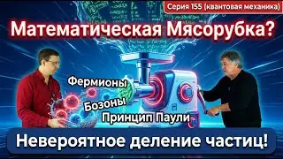 155. Математическая мясорубка выдала глобальное деление частиц. Принцип Паули, Фермионы и Бозоны.