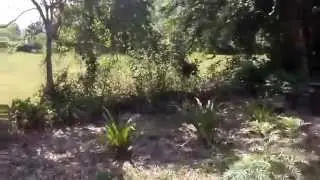IXTLÁHUAC, HUAZALINGO, Y ALGO MÁS.
